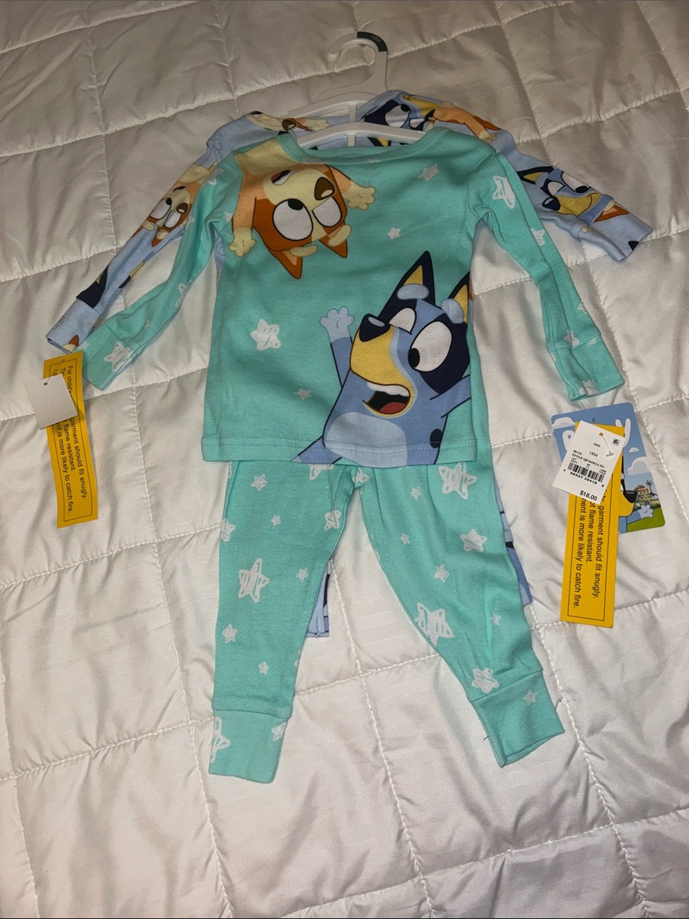Bluey Mint Green Kids' Character Pajama Set - Long Sleeve Top & Pants Set